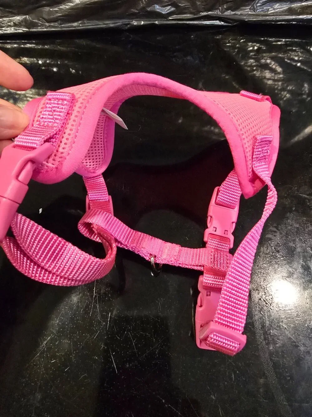 Pink Small Dog Harness Vibrant Life Dog Leash Sassy Woof NEW